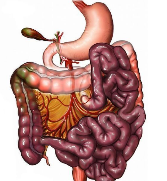 腸息肉者，排便出現3個(gè)異常，十有八九息肉已變成“癌”